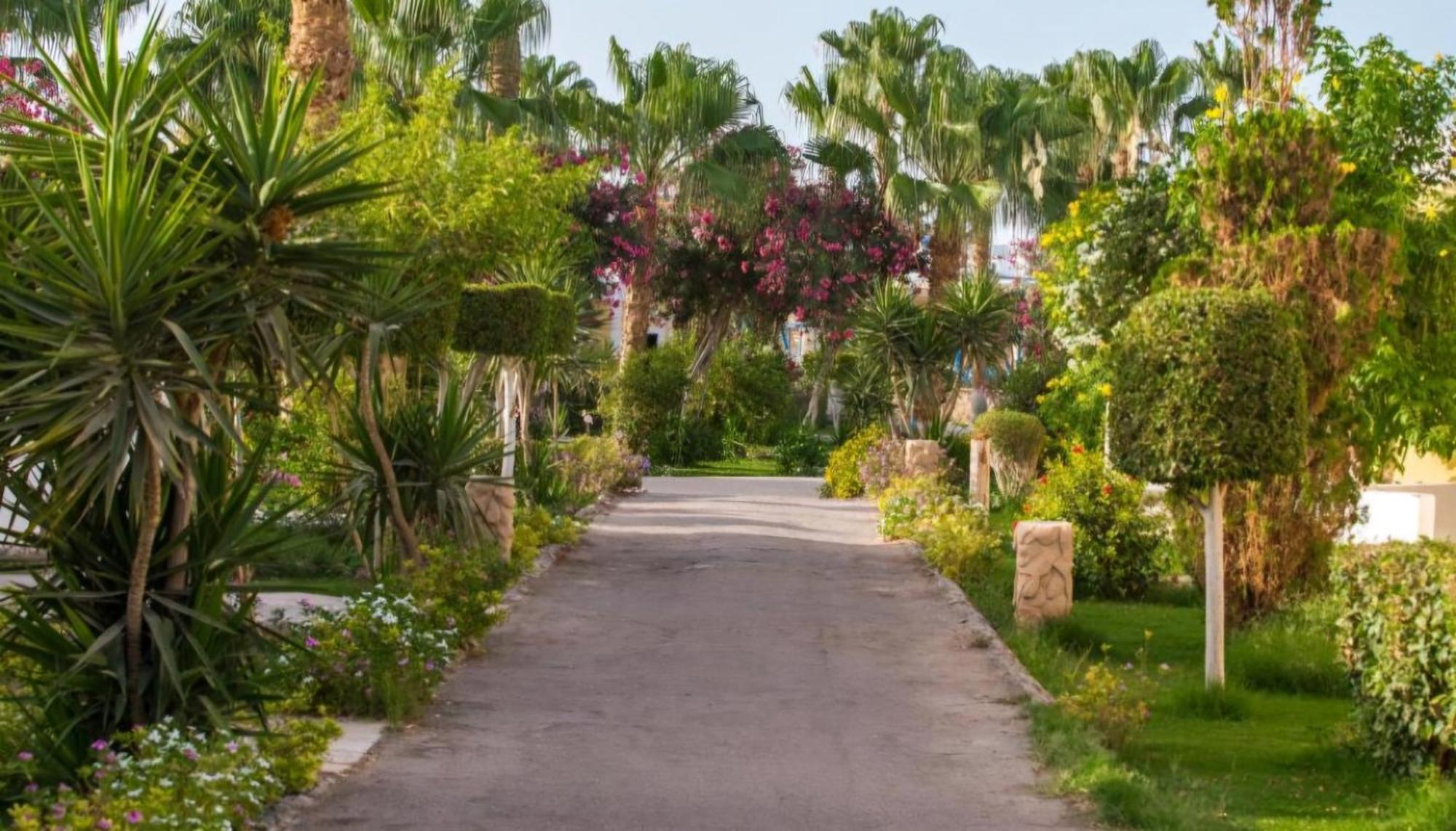 הורגהדה Mirage Bay Hotel & Aquapark All-Inclusive מראה חיצוני תמונה